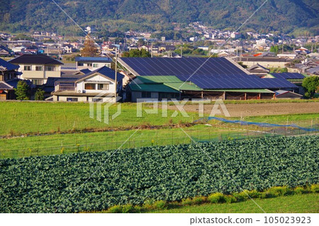 Awaji Island, Hyogo Prefecture, view of Sumoto City from Onion Road 105023923