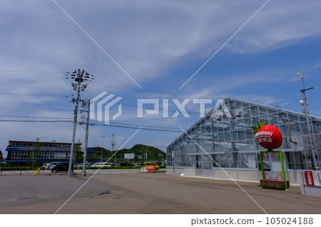 若狹美濱浜莓 一護之里美濱 若狹美濱浜莓 一護之里美濱 105024188
