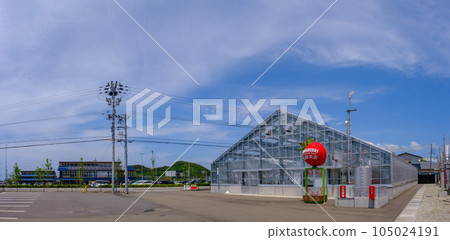 若狹美濱浜莓 一護之里美濱 105024191