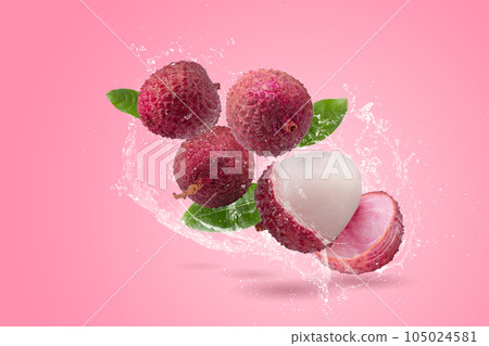 Fresh lychee or litchi fruit isolated on a pink background Fresh lychee or litchi fruit isolated on a pink background 105024581