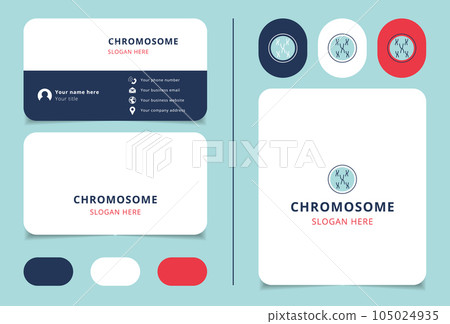 Chromosome logo design with editable slogan. Branding book and business card template. Chromosome logo design with editable slogan. Branding book and business card template. 105024935