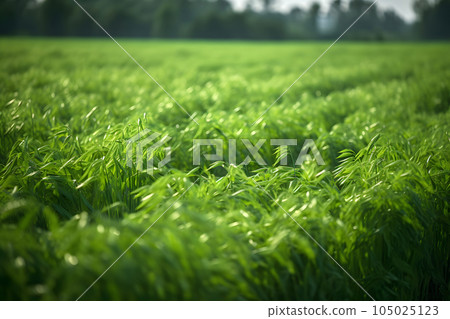 Rows of green crops with selective focus at summer day light, neural network generated image Rows of green crops with selective focus at summer day light, neural network generated image 105025123