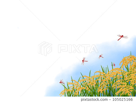 Illustration of rice ear and red dragonfly autumn frame 105025166