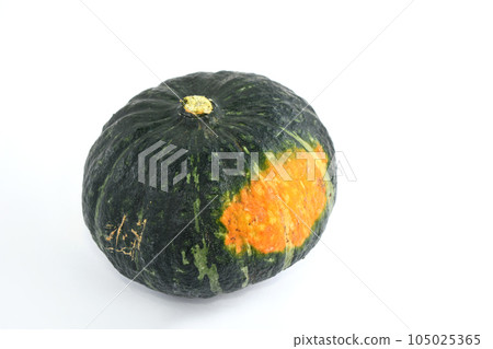 Chestnut pumpkin Chestnut pumpkin 105025365