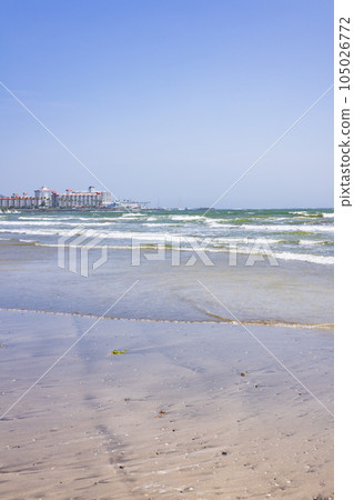 仲夏湘南海灘、材木座海灘 仲夏湘南海灘、材木座海灘 105026772