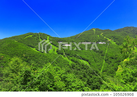 [Nagano Prefecture] Sunny Shiga Kogen (West Tateyama and Higashi Tateyama) 105026908