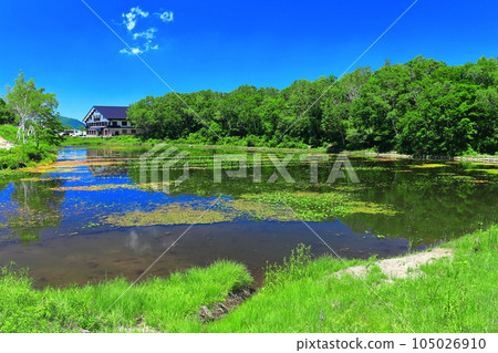 [長野縣] 志賀高原的荷花池，天氣晴好 105026910