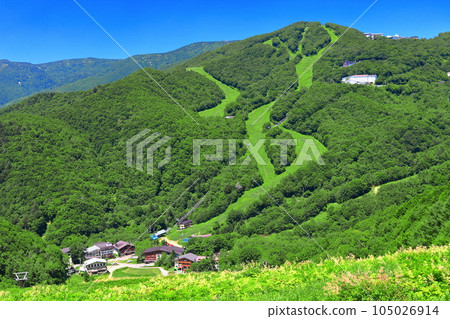 [Nagano Prefecture] Sunny Shiga Kogen (West Tateyama and Higashi Tateyama) 105026914