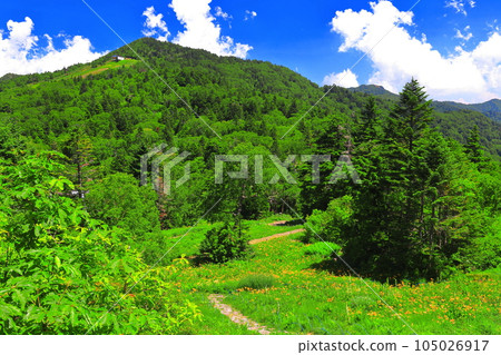 [長野縣] 東立山高山植物園和寺子屋山（志賀高原） 105026917