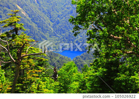 [Nagano Prefecture] Onuma Pond in Shiga Kogen with greenery 105026922