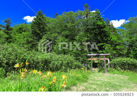 [Nagano Prefecture] Higashi Tateyama Shrine in Shiga Kogen on sunny days 105026923