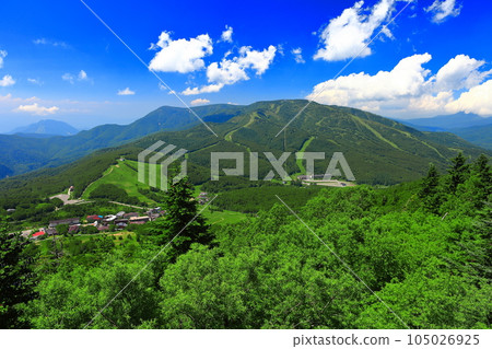[Nagano Prefecture] Mt. Yakebitai in Shiga Kogen in fine weather 105026925