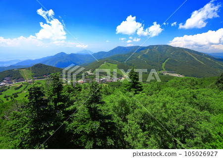 [Nagano Prefecture] Mt. Yakebitai in Shiga Kogen in fine weather 105026927