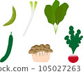 Ingredient vegetables used for cooking such as cucumber 105027263