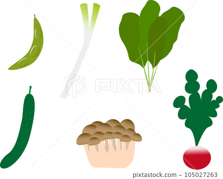 Ingredient vegetables used for cooking such as cucumber Ingredient vegetables used for cooking such as cucumber 105027263
