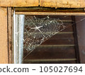 A spider web lightnen by the sun, old rural house. 105027694