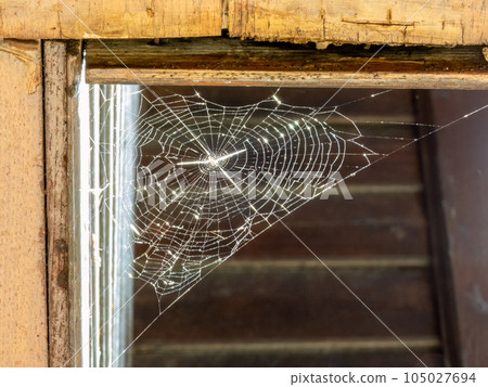 A spider web lightnen by the sun, old rural house. A spider web lightnen by the sun, old rural house. 105027694