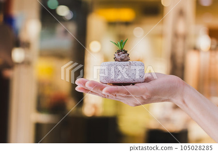 Woman holding a small cactus in blurred background. Woman holding a small cactus in blurred background. 105028285