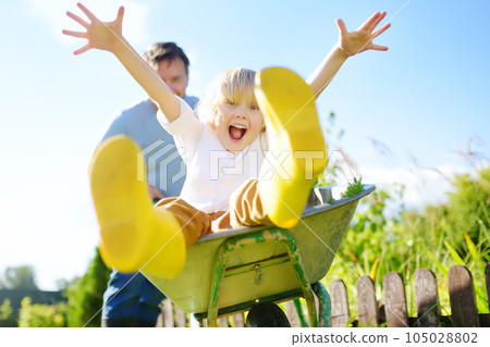Happy little boy having fun in a wheelbarrow pushing by dad in domestic garden on warm sunny day. Active outdoors games for kids in summer. 105028802