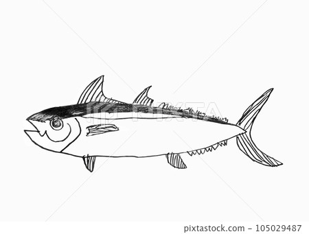 兒童畫的魚。金槍魚、鰹魚般的溫柔眼神 兒童畫的魚。金槍魚、鰹魚般的溫柔眼神 105029487