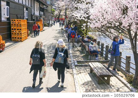 230404 Sakura Nakahashi illustration 5z259 105029706