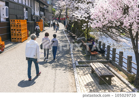 230404 Sakura Nakahashi illustration 5z249 105029710