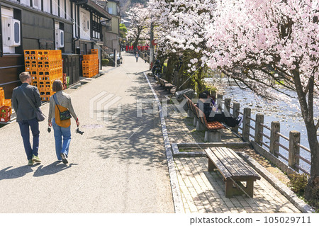 230404 中橋櫻插畫5z247 230404 中橋櫻插畫5z247 105029711