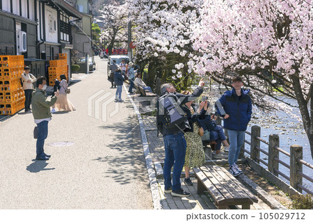 230404 Sakura Nakahashi illustration 5z226 105029712