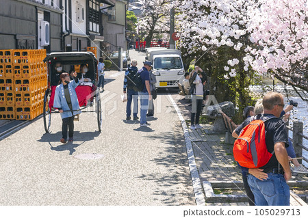 230404 Sakura Nakahashi illustration 5z215 230404 Sakura Nakahashi illustration 5z215 105029713