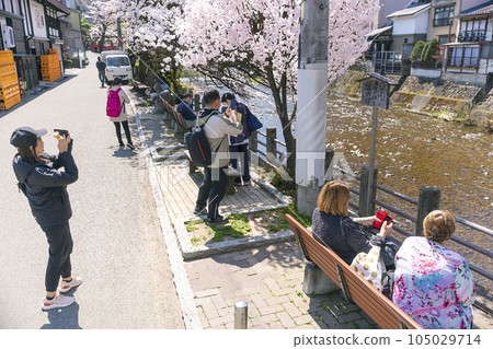 230404 Sakura Nakahashi illustration 5z205 230404 Sakura Nakahashi illustration 5z205 105029714