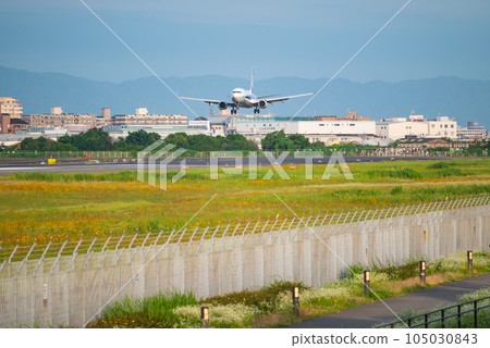A jet plane about to land at Osaka Itami Airport 105030843