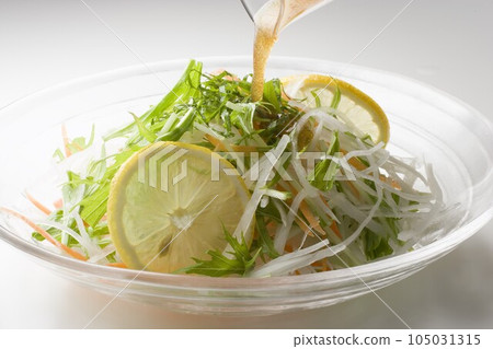 蘿蔔水菜沙拉醬 蘿蔔水菜沙拉醬 105031315