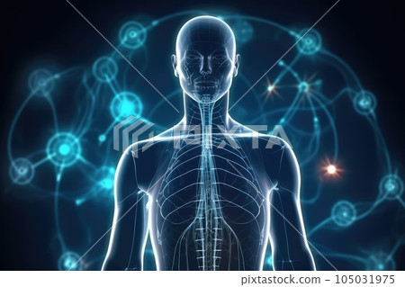 concept of human anatomy and science in medicine. study of the human body. 105031975