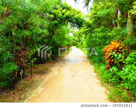 Okinawa scenery 105032611