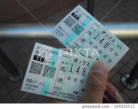 Winning horse betting ticket (Nakayama Racecourse Race 11) 105033511