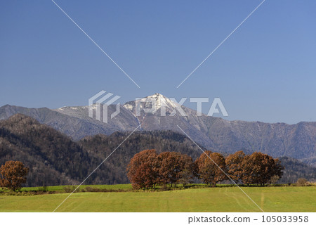 十勝的秋葉 105033958