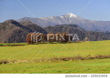 十勝的秋葉 105033959