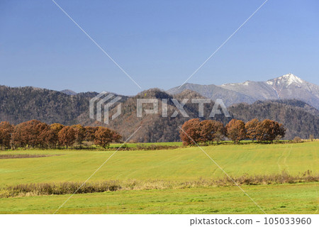 十勝的秋葉 105033960