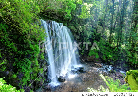 Karasawa Falls（Sugadaira Kogen） 105034423