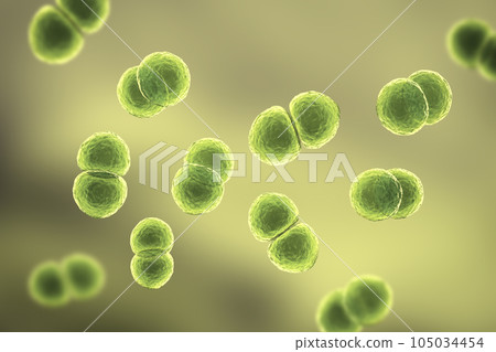 Streptococcus pneumoniae bacteria, 3D scientific illustration Streptococcus pneumoniae bacteria, 3D scientific illustration 105034454