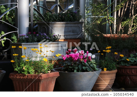 Flower bed in the garden Flower bed in the garden 105034540