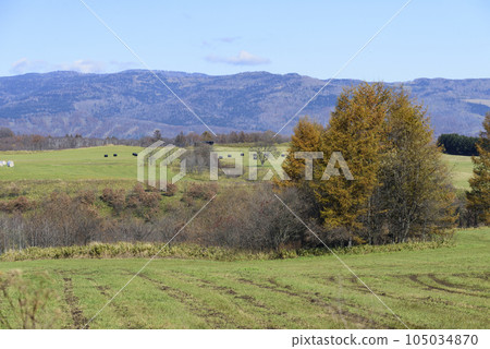 北海道足寄市秋季農場風光 105034870