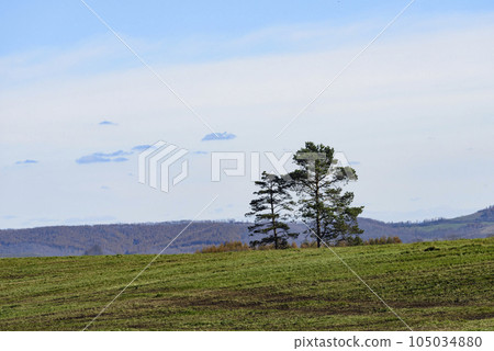 Hokkaido Ashoro Autumn farm scenery Hokkaido Ashoro Autumn farm scenery 105034880
