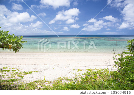 Okinawa's Blue Sea 105034916
