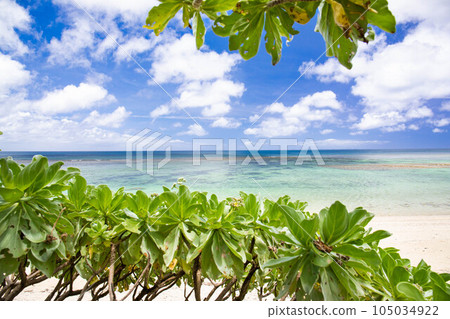 Emerald green sea and white sandy beach and green Emerald green sea and white sandy beach and green 105034922