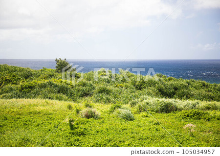 Sea that desires from the hill Sea that desires from the hill 105034957