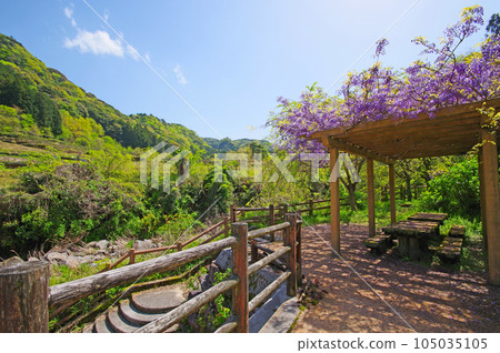 Todoroki Fuji Rural Park in the mountains of Buzen City, Fukuoka Prefecture Todoroki Fuji Rural Park in the mountains of Buzen City, Fukuoka Prefecture 105035105
