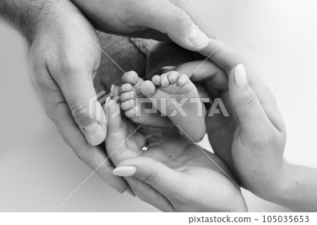 The palms of the father, the mother are holding the foot of the newborn baby on white background. Feet of the newborn on the palms of the parents. Photography of a child's toes, heels and feet. 105035653
