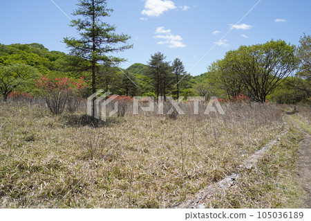 Haruna Kogen View southwest from Yusuge road near Surusiwa May 24, 2023 105036189