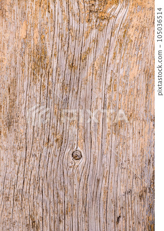 Tree bark texture 105036514